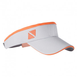 Tech sunvisor